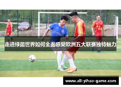 走进绿茵世界如何全面感受欧洲五大联赛独特魅力 走进绿茵世界如何全面感受欧洲五大联赛独特魅力